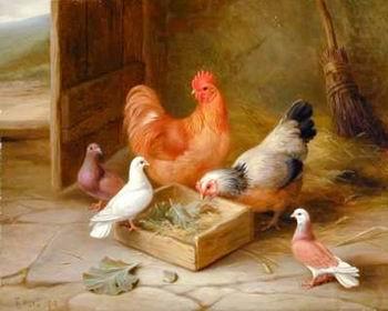 unknow artist Poultry 093 oil painting picture